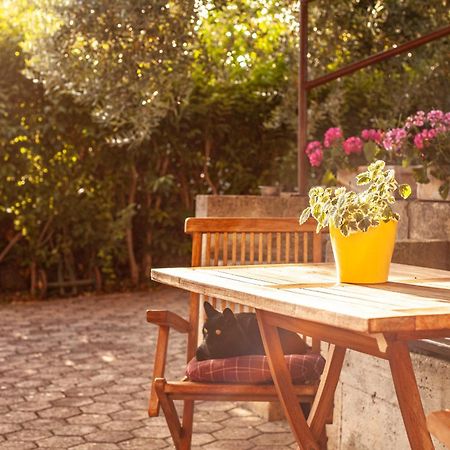 PUY Apartment Borik מראה חיצוני תמונה