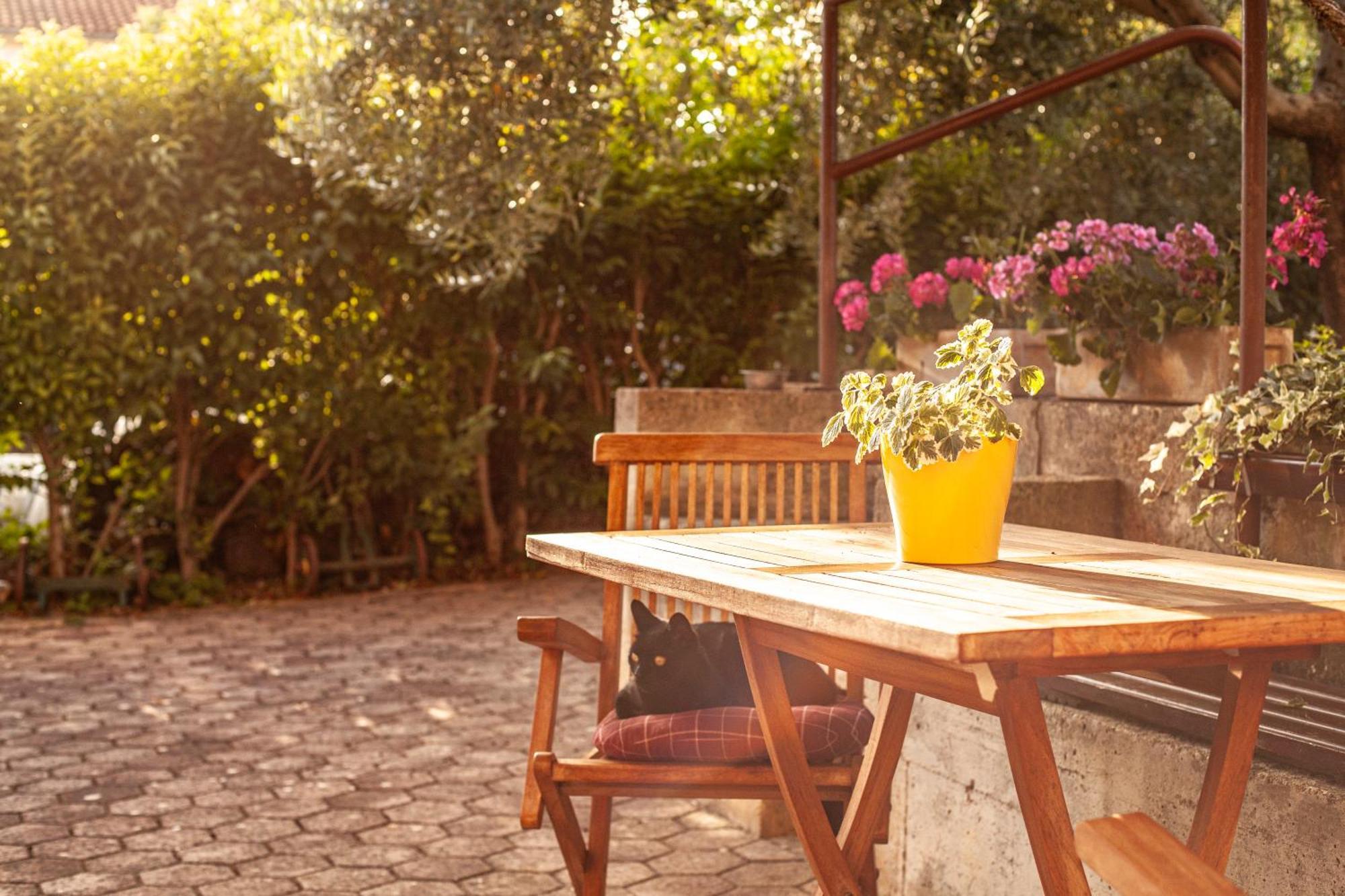 PUY Apartment Borik מראה חיצוני תמונה